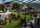 Stand des AELF Fürstenfeldbruck auf dem Waldtag Oberbayern (Foto: AELF Fürstenfeldbruck)