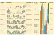 Grafik auf gelbem Grund, links Skizzen von verschiedenen Beständen, rechts mit farbigen markierungen die Habitate der Spechte