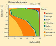 Das Diagramm zeigt die Kationenbelegung (Protonen, Mangan, Eisen, Aluminium, Kalium, Natrium, Magnesium, Calcium) in Abhängigkeit von der Bodentiefe.