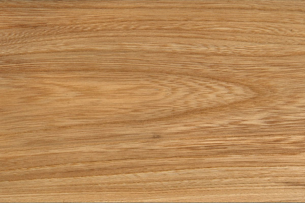 Das Holz Der Flatterulme Eigenschaften Und Verwendung Lwf Wissen 83