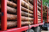 After logging the wood has to be transported from the forest to the saw mill or plant. Timber logistics deals with the wood supply chain, the transport and information exchange.