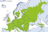 Politische Karte Europas zeigt das Verbeitungsgebiet von Tilia cordata. Weitere Informationen siehe Text. 