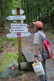 Junge mit Rucksack und kleiner Tragetasche steht vor einem Wegweiser im Wald.
