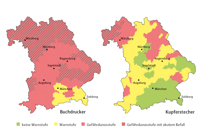 Karte von Bayern mit farblich gekennzeichneten Warnstufen des Befalls