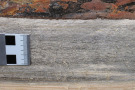 Kiefernstamm, obere Hälfte mit Rinde, untere Hälfte ohne Rinde, zeigt das leicht bläuchlich gefärbte Holz