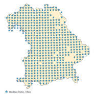 Karte Bayerns mit der Verbreitung von Efeu dargestellt als blaue Symbole.