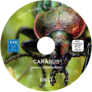 DVD-Oberseite 'Carabus - Der Film'