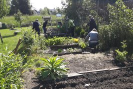 Frauen arbeiten im Garten (Foto: Birgit Baumann)