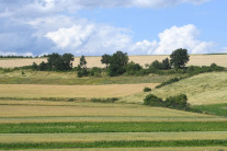 Zwischen landwirtschaftlichen Anbauflächen sind Heckenstrukturen, Blühflächen und eine neuangelegte, ungemähte Streuobstwiese deutlich erkennbar.