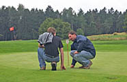Head-Greenkeeper