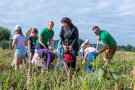 Ministerin Michaela Kaniber mit dem Landwirtspaar und vielen Kindern auf dem Kartoffelfeld.