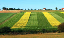 Landschaft mit unterschiedlichen Feldfrüchten