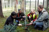 Menschen mit Fluchtstäben begutachten Waldverjüngung (Foto: Tobias Bosch)