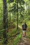 Mann auf schmalem Waldweg