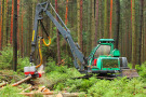 Harvester in Fichtenbestand zersägt Baumstamm (Foto: Kletr/fotolia.com).