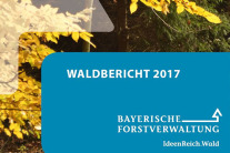 Abbildung eines bunten Laubs und Titel Waldbericht 2017