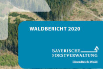 Titel "Waldbericht 2020" mit Schriftzug und Waldfoto im Hintergrund