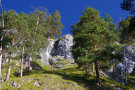 Lichter Schneeheide-Kiefernwald an einem felsigen Steilhang