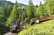 Forwarder stapelt Holz auf Polter am Wegrand.