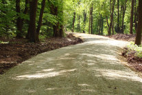 Forstweg in einem Laubwald (© Günter Schiekofer)