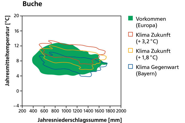 Vorkommen der Buche heute als dunkelgrüne Fläche und mit dem Klima von heute und in der Zukunft bei wahlweise 1,8 und 3,2 Grad Erwärmung schaematisch dargestellt.