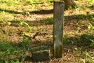 Grenzstein im Wald, zusätzlich mit einem Holzpflock markiert