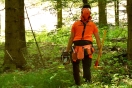 Waldarbeiter mit Ausrüstung schaut im Wald nach oben (Foto: J. Böhm)