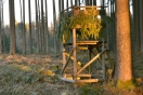 Halbhoher Jagdansitz am Rande einer Lichtung (Foto: J. Böhm)