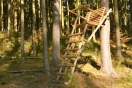 An einen Baum angebauter Hochsitz für Jäger im Wald (Foto: J.Böhm)