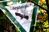 Hinweisschild "Natuschutzgebiet" zwischen Zweigen und Ästen