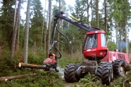 Harvester (Holzvollernter) bei der Holzernte