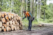 Förster besprüht Holzpolter mit Spraydose