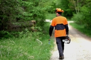 Waldbesitzer in Schutzausrüstung mit Motorsäge auf dem Weg in den Wald (Foto: StMELF)