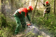 Zwei Waldarbeiter arbeiten mit der Motorsäge Holz auf