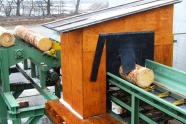 Holzstämme auf einem Förderband durchfahren ein kleines Holzhaus