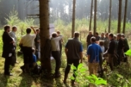 Im Wald werden über ein Chartboard Waldbesitzer geschult