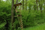 An zwei Bäume gebauter Hochsitz im Wald