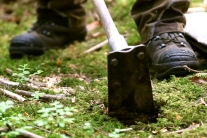 Nahaufnahme einer Pflanzhaue beim Eindringen in den Boden (Foto: StMELF)