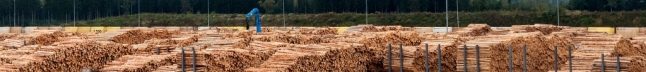 Zu mehreren Stapeln zusammengefasste und entrindete Holzstämme (Foto: G. Brehm)