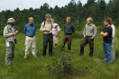 Menschengruppe im Moor.