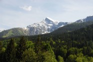 Bergwald vor Berggipfel