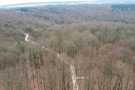 Baumwipfelpfad im Steigerwald: Blick vom Aussichtsturm auf den Pfad (Foto: Franz-Josef Mayer/StMELF).