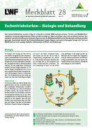 Titelseite vom LWF-Merkblatt 28 - Eschentriebsterben