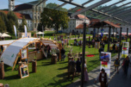 Stand des AELF Fürstenfeldbruck auf dem Waldtag Oberbayern (Foto: AELF Fürstenfeldbruck)