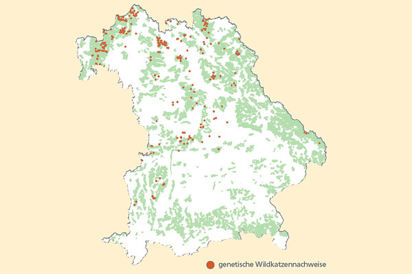 Waldfläche Bayern