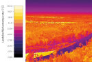 Luftaufnahme der Isarauen in Gelb- Rot- und Violettönen, die die Oberflächentemperatur zeigen