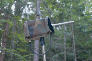 Rufaufzeichnungsgerät im Wald