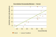 Streudiagramm zeigt positiven Zusammenhang zwischen Vorrat und Lücken in der Baumkrone