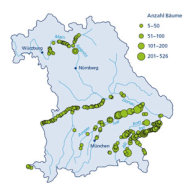 Geografische Karte der Verbreitung von Schwarzpappel