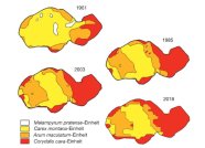 Vier mehrfarbige Diagramme zur Waldentwicklung eines Versuchsbestandes von 1961 - 2018..